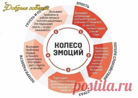 ОТ ЧЕГО ВОЗНИКАЮТ БОЛЕЗНИ ПО МНЕНИЮ КИТАЙЦЕВ | KaifZona.Ru