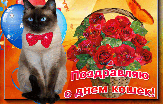 С Днем кошек от души вас поздравляю,
Любить своих питомцев вам желаю,
Чтоб когти не точили, не рычали,
А только лишь от радости мурчали!