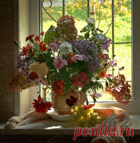 Мой Мир@Mail.Ru