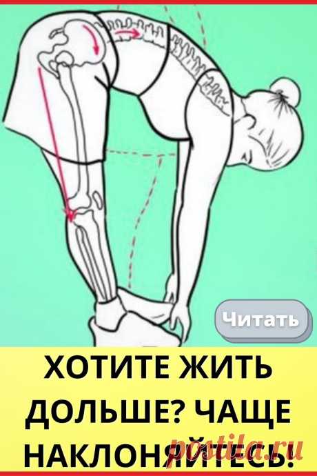 Хотите жить дольше? Чаще наклоняйтесь!