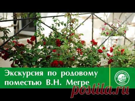 Экскурсия по родовому поместью Владимира Мегре