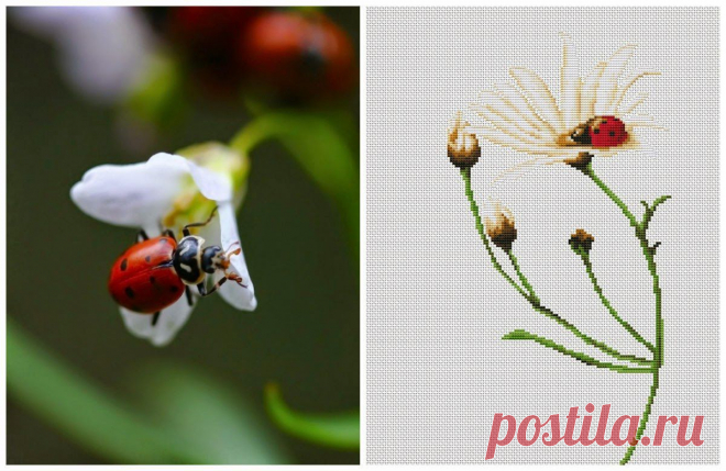 Милые сердцу штучки: Вышивка крестом: "Летние зарисовки от Luca-S"