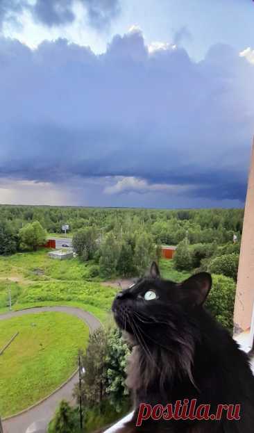 Лента новостей