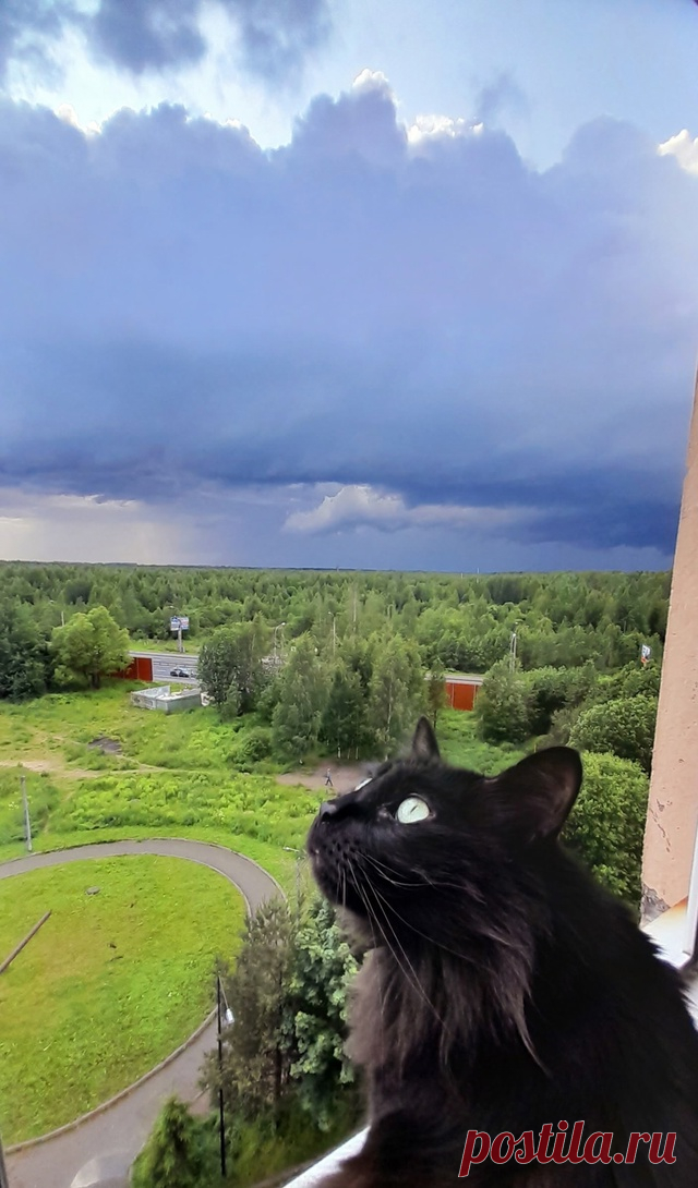 Лента новостей