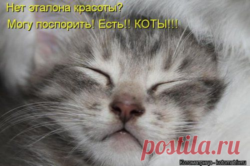 Спу... | KotoMail.ru