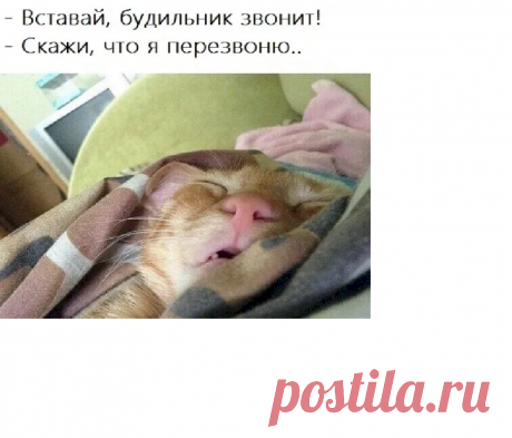 2980347e.png (905×774)