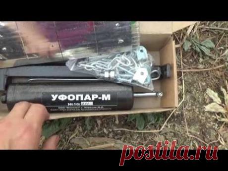 Защита помидор от фитофторы в открытом грунте и в теплице . - YouTube