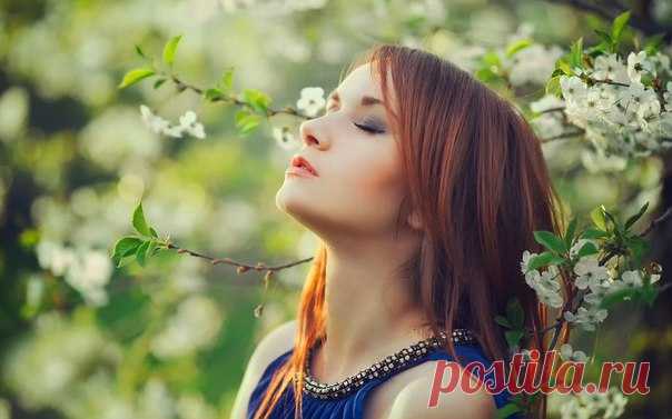Dieser Frühling / Изучение немецкого языка