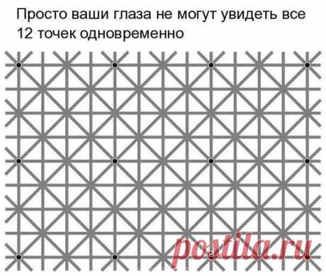 ооо