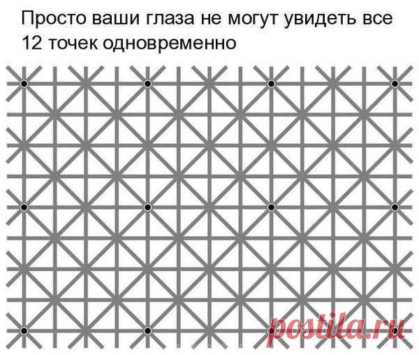 ооо
