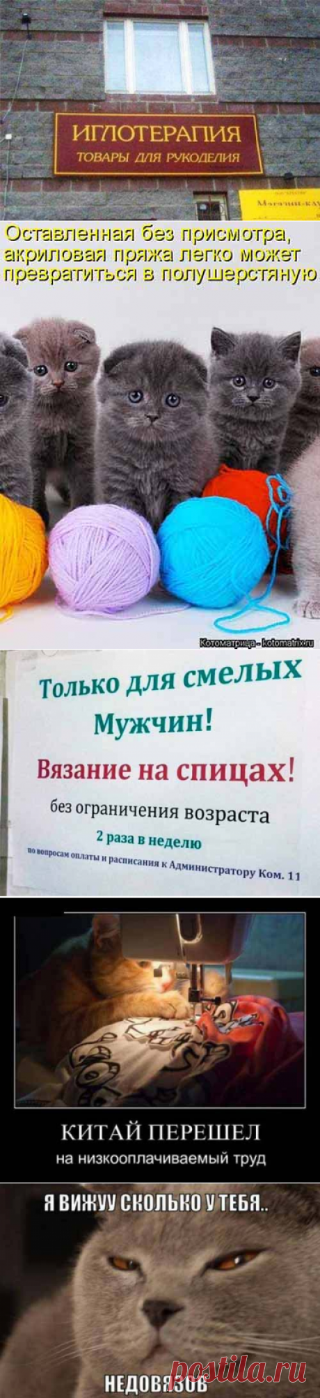 Приколы про рукоделие в забавных картинках