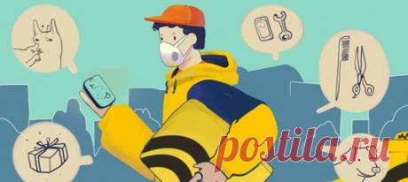 Стать барбером, погулять с дроном, забрать домой чужую кошку и другие способы разнообразить карантин.