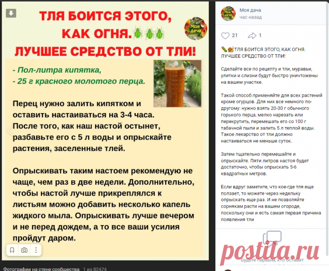 Новости