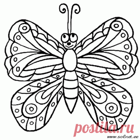 бабочки рисунок раскраска