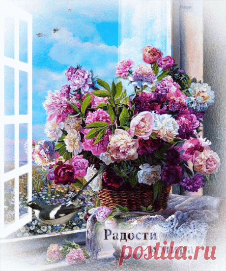 *АНИМАЦИЯ* *ANIMATION* – Google+