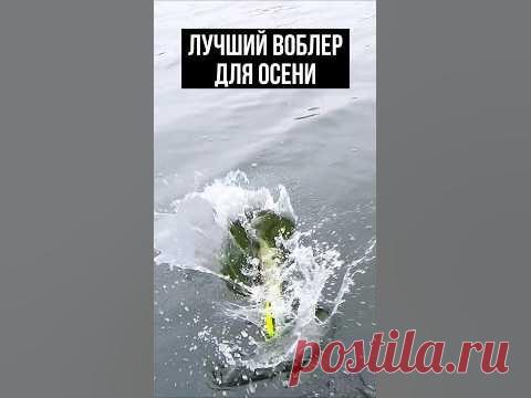 Какой самый лучший воблер для ловли щуки осенью?! Пожалуй это очень популярный и всемирно известный - OSP RUDRA.Приманки из видео:► OSP Rudra 130 - https://a...
