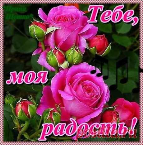 Одноклассники