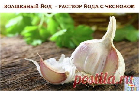 йод с чесноком от всех болезней