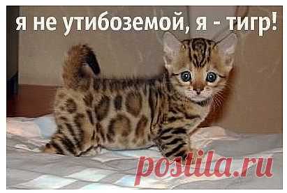 миленький такой