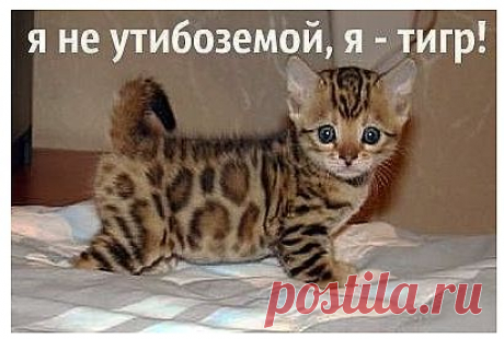 миленький такой