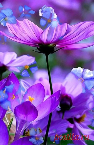 Разн🌸цветных, теплых, ласк🌼вых сл🌻в и сн🌝в!!! Сп🌕к🌔йн🍎й н🌖чи, д🌎р🌍гие!!! 🌈😘