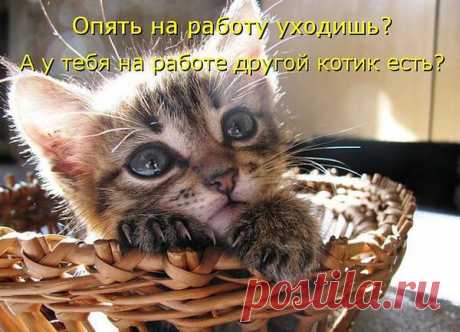 Интересные новости