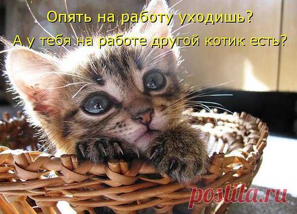 Интересные новости