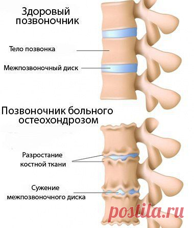 Здоровье. Красота. Сила. Дух. | ВКонтакте