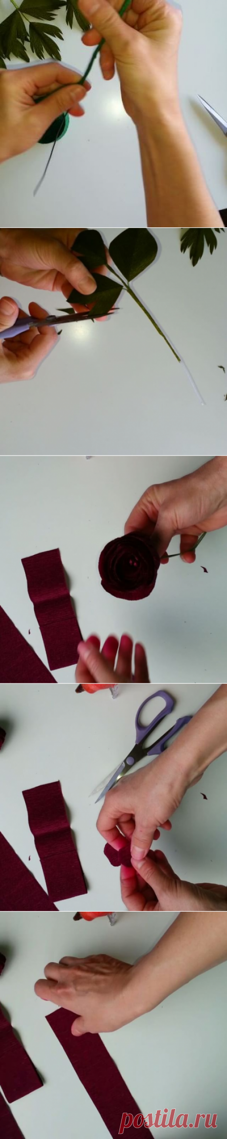 Valentina Moraliyska (@valentinasflowers) • Фото и видео в Instagram