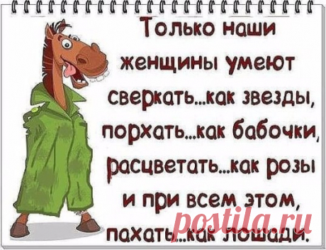 Высказывания