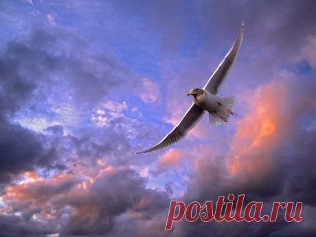 Мой Мир@Mail.Ru