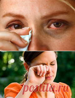 Зеница ока, или боремся с летними глазными недугами — Всегда в форме!