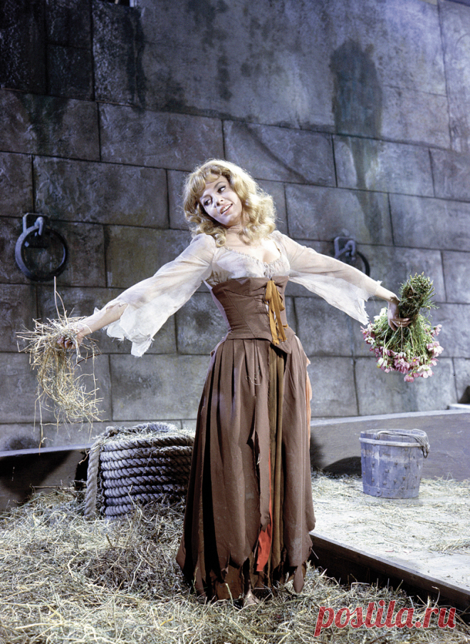 Невероятно красивая женщина, идеал женской красоты и обаяния, смотришь на нее, как на прекрасный цветок и не можешь насмотреться.

Мишель Мерсье по праву входит в десятку самых красивых женщин всех времен и народов. Сколько бы не было прекраснейших девушек в мире, таких как Мишель Мерсье больше не существует. Идеал красоты, несмотря на то, что вкусы меняются, но этот идеал остается на самом высочайшем пьедестале.