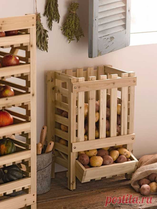 Potato Bin