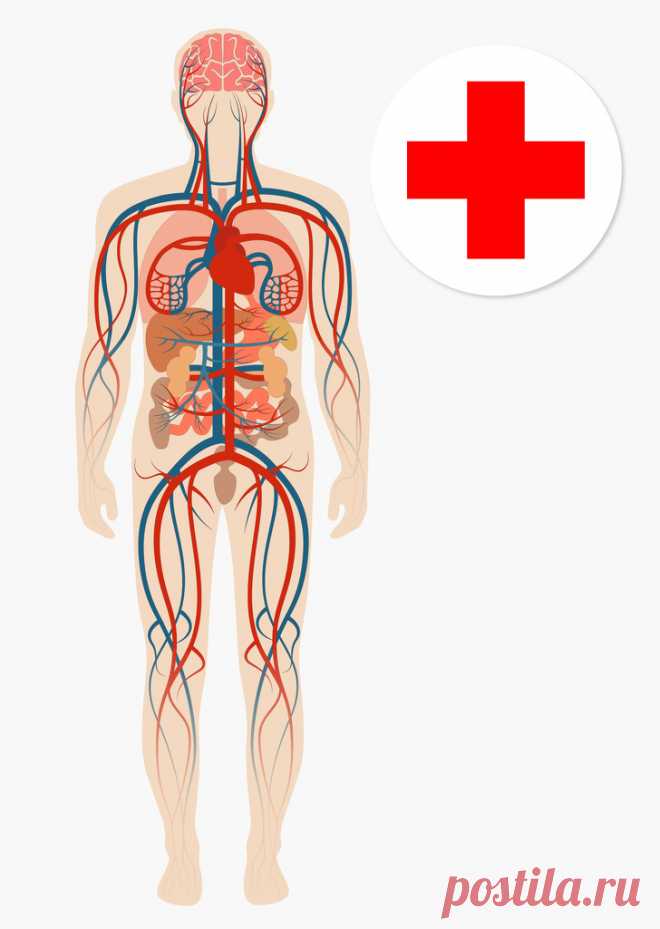 7 неочевидных симптомов, говорящих о том, что у вас нарушено кровообращение