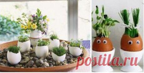 ● Хозяюшки Online ●