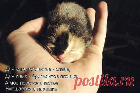 хх