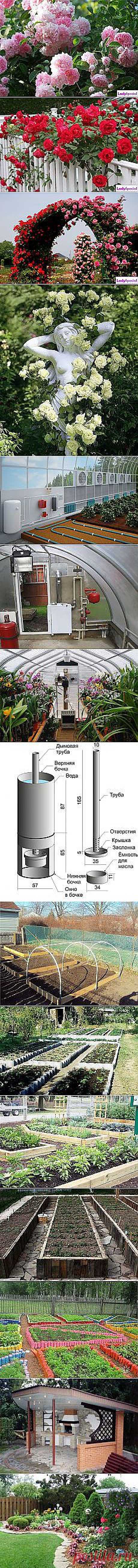 Наталия Федорюк: сад и огород | Постила.ru