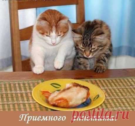 смотри ка, чего нам сегодня дали...   наверное с ними что-то случилось...?