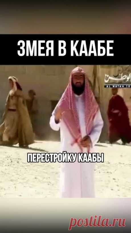ЗМЕЯ В КААБЕ | #сира #историяислама #ислам #иман