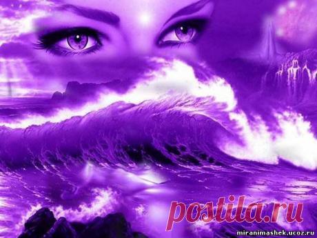 фиолетовый цвет - 707 . картинок. Поиск@Mail.Ru