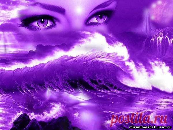 фиолетовый цвет - 707 . картинок. Поиск@Mail.Ru