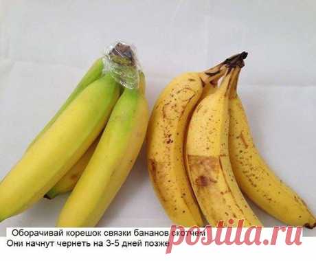 10 хитрых кухонных лайфхака / Царский пир