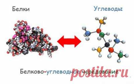 Диета Белково-Углеводного чередования БУЧ Плюсы: Позволяет быстро похудеть, не делая тело рыхлым. Психологически легко переносится