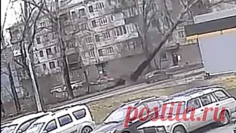 Жительница Новокузнецка стала свидетельницей гибели людей в автомобиле из-за упавшего дерева. В автомобиле, на который обрушилось дерево из-за урагана в Новокузнецке, находилось четыре человека. Об этом &quot;Газете.Ru&quot; рассказала Татьяна — жительница дома на Горьковской улице, где произошла трагедия. По ее словам, ...