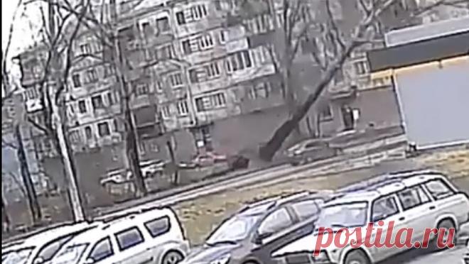 Жительница Новокузнецка стала свидетельницей гибели людей в автомобиле из-за упавшего дерева. В автомобиле, на который обрушилось дерево из-за урагана в Новокузнецке, находилось четыре человека. Об этом "Газете.Ru" рассказала Татьяна — жительница дома на Горьковской улице, где произошла трагедия. По ее словам, ...