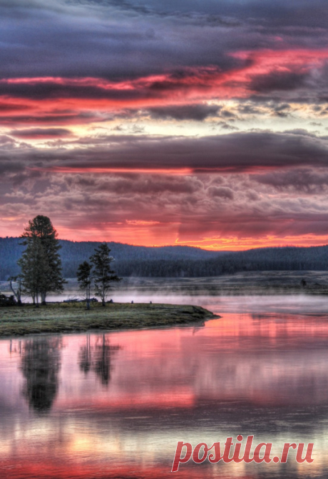 (10) Tumblr