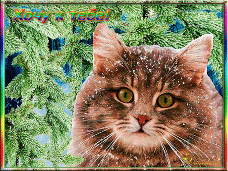 s-29386.gif (600×450)