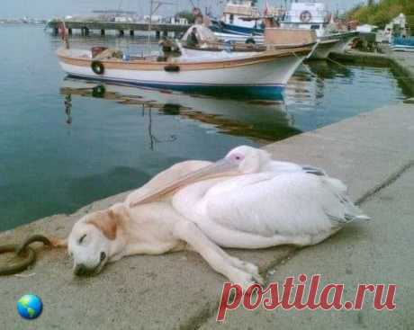 (1) Facebook