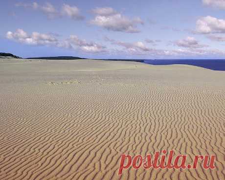 дюны